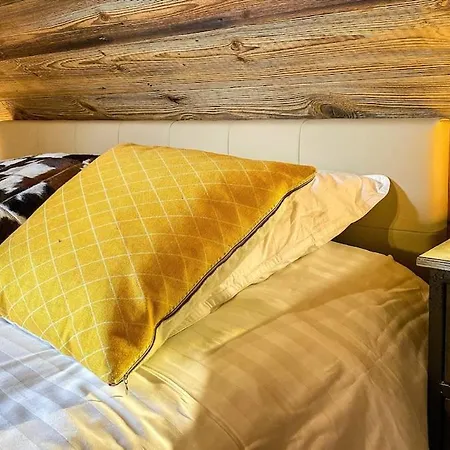 Domek alpejski L'anorak Super Besse-et-Saint-Anastaise