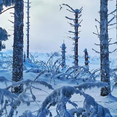 Domek alpejski L'anorak Super